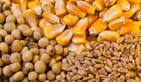 ترخیص یک میلیون تن نهاده دامی در یک ماه گذشته