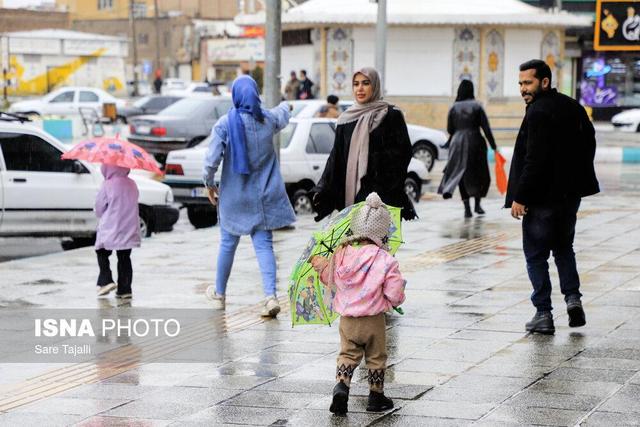 معاون هواشناسی استان: سامانه بارشی وارد بوشهر می‌شود