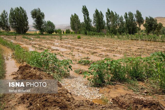 برآورد خسارت ۴۷۵۰ میلیاردی سیل به کشاورزی سیستان و بلوچستان