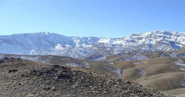 تصاویر نادر از «همای سعادت» در چهارمحال‌ و بختیاری