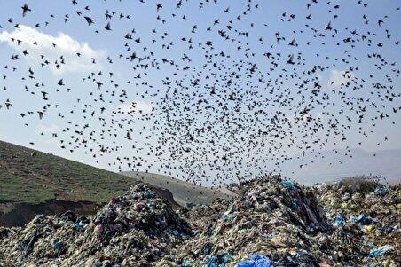 ببینید | پشت پرده بوی نامطبوع جنوب تهران چیست؟