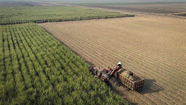 ۶۴۶ طرح کشاورزی خراسان‌شمالی با اعتبار سفر رئیس جمهور اجرایی شد