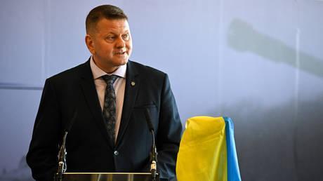 Zelensky would lose an election to his former top general – poll