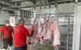 راه‌اندازی نخستین کشتارگاه صنعتی استان بوشهر