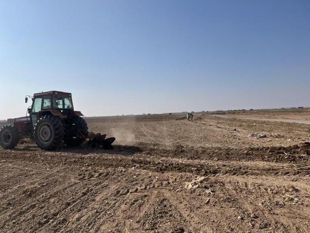 اجرای مزرعه PVS گندم با هدف تعیین بهترین ارقام کشت در سمنان