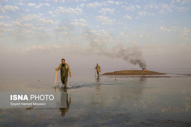 تخریب ۱۵ «محمیه» صید غیرقانونی پرندگان مهاجر در بامدژ