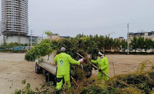 طوفان و بارندگی‌های اخیر بیش از ۳۶ میلیارد ریال به فضای سبز قشم خسارت زد