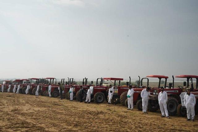 رزمایش مقابله با ملخ صحرایی در بوشهر برگزار شد