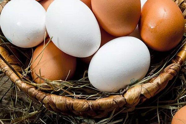 قیمت جدید تخممرغ اعلام شد