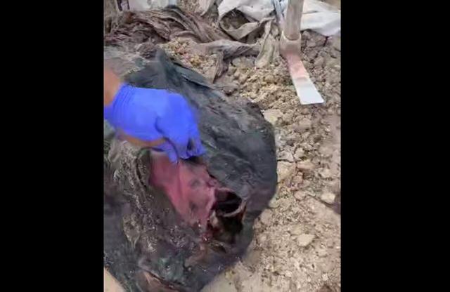 پیکرهای بدون سر از زیر شن‌ خارج شد! + ویدئو | تلخ ترین تصاویر از لحظه خروج اجساد