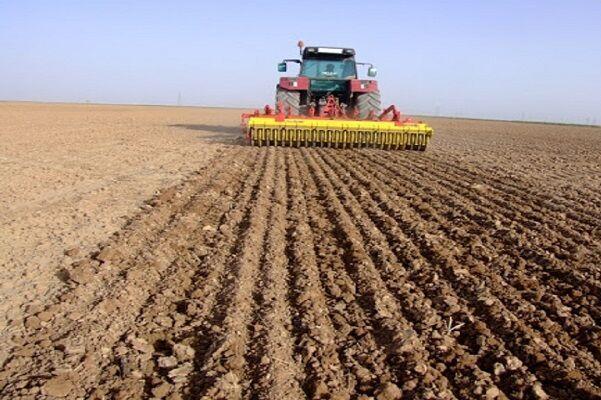 کشت گندم و جوی پاییزه در حدود ۱۴ هزار هکتار از زمین‌های گیلان