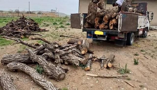 کشف و ضبط چوب‌های غیرمجاز در سوادکوه شمالی