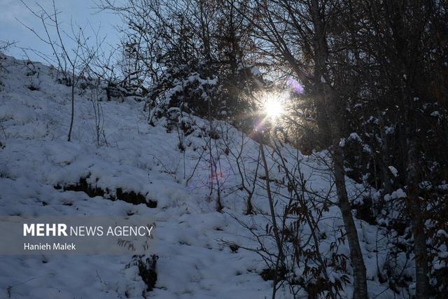 تصاویری از بارش شدید برف به همراه کولاک در مناطق مختلف آذربایجان غربی