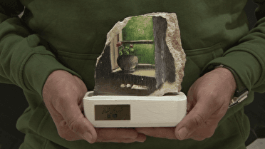 هنرمند عکاس قمی، برگزیده جام جهانی عکاسی