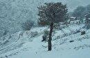 بارش برف زمستانی در منطقه ییلاقی اسب وونی تالش