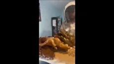 زنبورهای عسل سقف یک خانه را به کندو تبدیل کردند (فیلم)