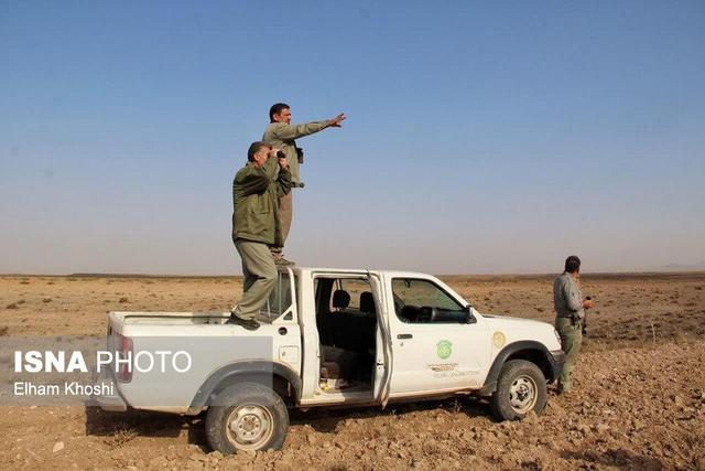 پایش میدانی حیات‌وحش در منطقه شکار ممنوع خرمنه‌سر طارم