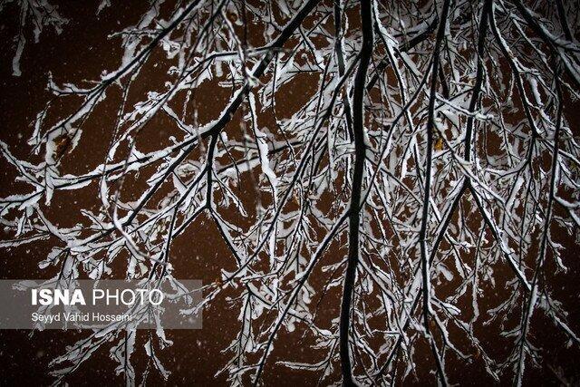 هشدار هواشناسی درباره رگبار برف و کاهش دما در البرز