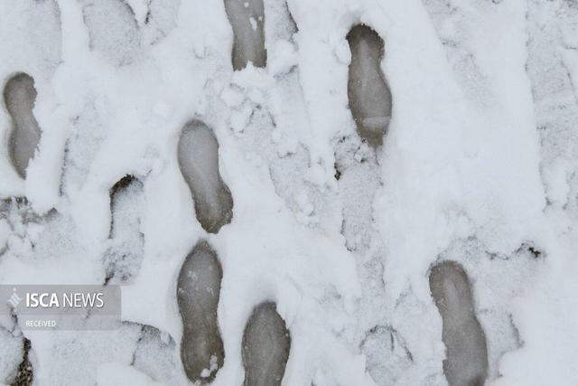 مفقودی ۱۴ نفر در برف و کولاک قلدان سردشت