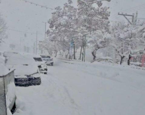 بارش شدید برف در این منطقه مردم را خوشحال کرد؛ سفید پوش شدن این شهر زیبا را ببینید