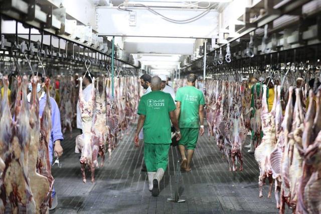 فراخوان جذب ذابحان توانمند برای حج تمتع ۱۴۰۵