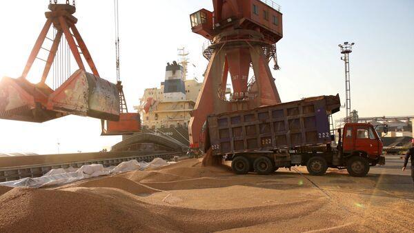 واردات نهاده‌های دامی ۸ درصد افزایش یافت