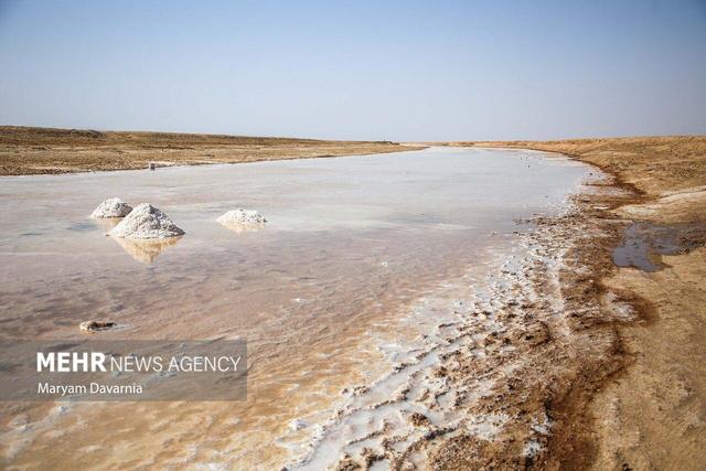 ورود فاضلاب شهری البرز عامل اصلی آلودگی رودخانه شور ملارد