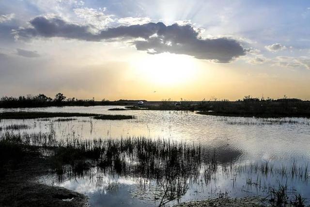 تالاب صالحیه نفس تازه می‌کند