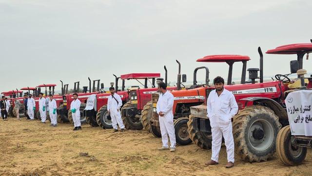 ستاد مقابله با هجوم ملخ‌های صحرایی در بوشهر فعال شد