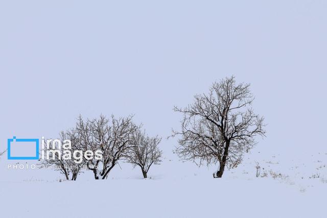 مدیرکل هواشناسی: بارش‌های اخیر چهارمحال و بختیاری ارتباطی با بارورسازی ابرها ندارد