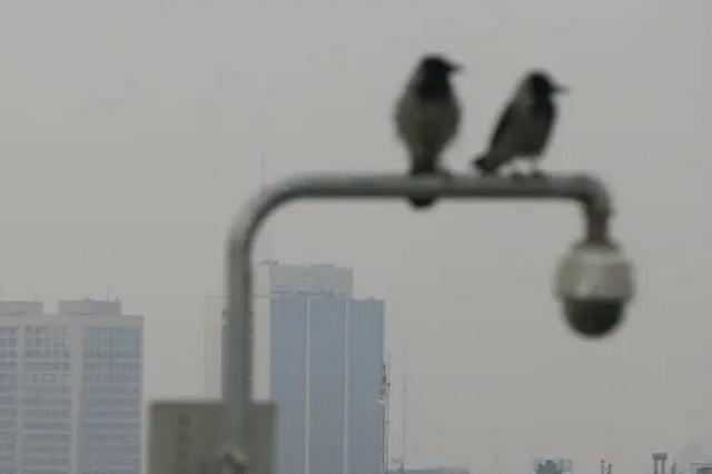 آلودگی هوا تهدیدی جدی برای سلامت