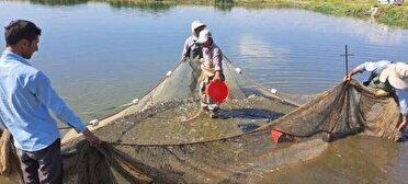 تولید سالانه۵ هزار میلیارد تومان ماهی و آبزیان درآذربایجان غربی