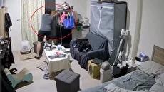 وقتی نجات گربه در زلزله سخت‌تر از خود زلزله است (فیلم)