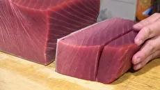 مهارت برش ماهی تن و سالمون برای ساشیمی در ژاپن (فیلم)