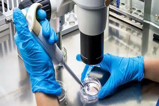 انواع دلایل رد برخی طرح‌های پژوهشی در بنیاد ملی علم ایران