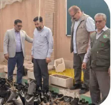 احداث ۱۰۵ نهالستان دانش‌آموزی در مدارس استان سمنان