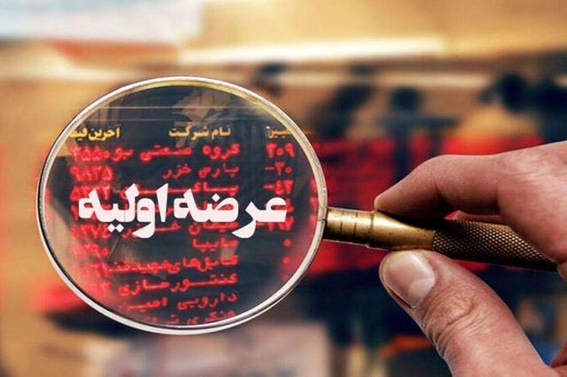 جزئیات شانزدهمین عرضه اولیه امسال اعلام شد