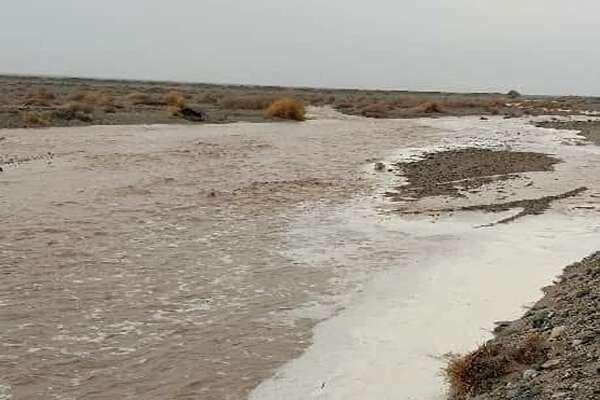 تلاش بی‌وقفه هلال احمر برای یافتن ۳ مفقودی در سیلاب «سرپری» کهگیلویه
