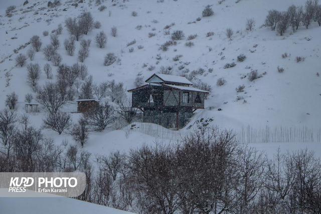 تداوم بارش برف و یخبندان شدید در کردستان؛ افت دما تا منفی ۲۰ درجه