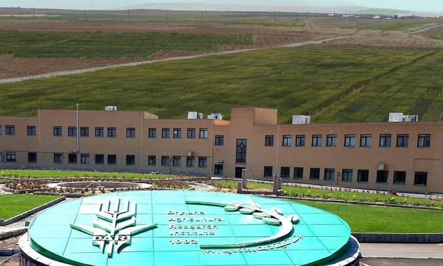 اجرای ۱۲۵ طرح پژوهشی توسط موسسه تحقیقات کشاورزی دیم