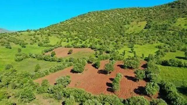 قفل امنیت بر اراضی آذربایجان‌غربی؛ اطلاعات ۵۰ هزار هکتار در بانک زمین ثبت شد