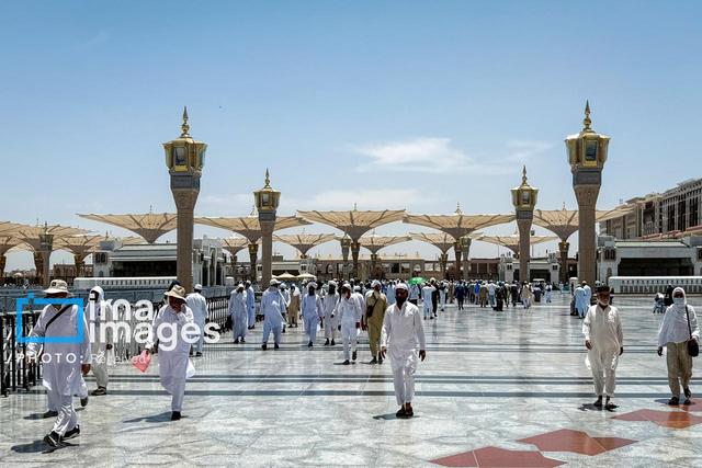 معاون سازمان حج و زیارت: مقدمات صدور روادید برای حج سال آینده فراهم شد
