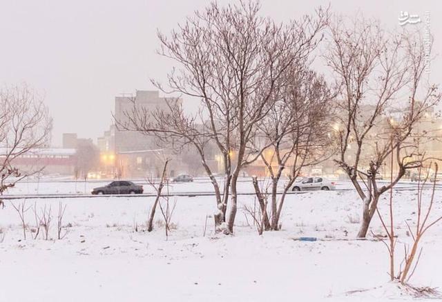 عکس/ تن‌پوش سفید زمستان بر تن تبریز