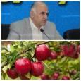 ثبت « جشنواره سیب بروجرد» در تقویم رویدادهای گردشگری کشور