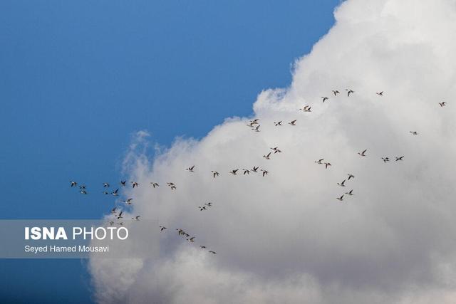 وضعیت «قابل قبول» هوا در ۱۴ شهر خوزستان
