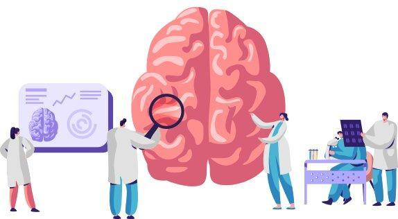 ساده‌ترین راه‌های فعال نگه‌داشتن حافظه و دوری از آلزایمر/ تقویت کننده‌های بافت مغز کدامند؟/ در انجام ورزش‌های فکری جدی باشید