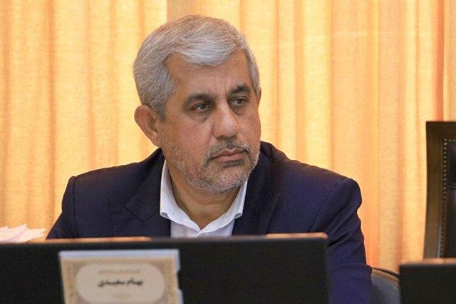 سعیدی: دفاع از حقانیت خود در محاکم بین‌المللی حق ایران است