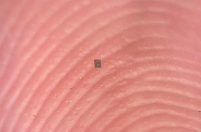 کوچک‌تر از دانه نمک؛ دانشمندان ریزترین ربات برنامه‌پذیر جهان را ساختند