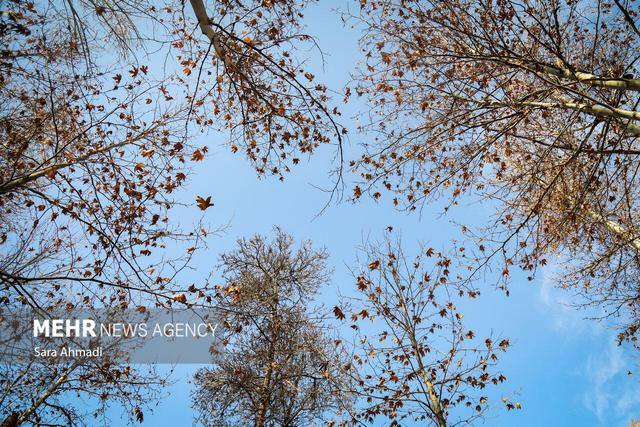 هوای مشهد سالم است