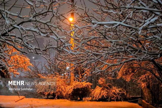 رحمان نیا: هوای سرد و یخبندان استان زنجان را فرا می گیرد